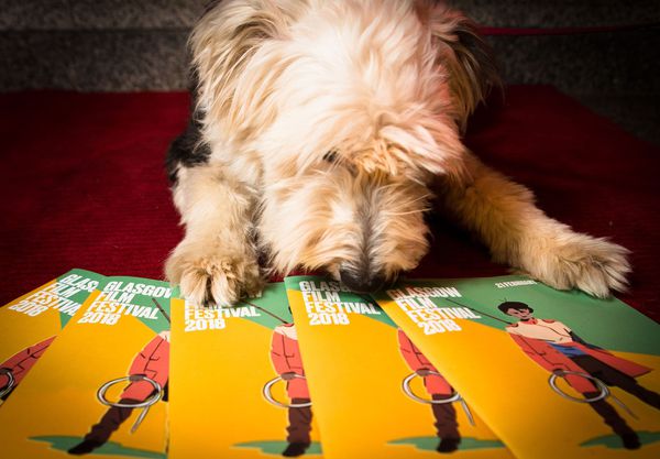 Every dog will have its day at this year's Glasgow Film Festival